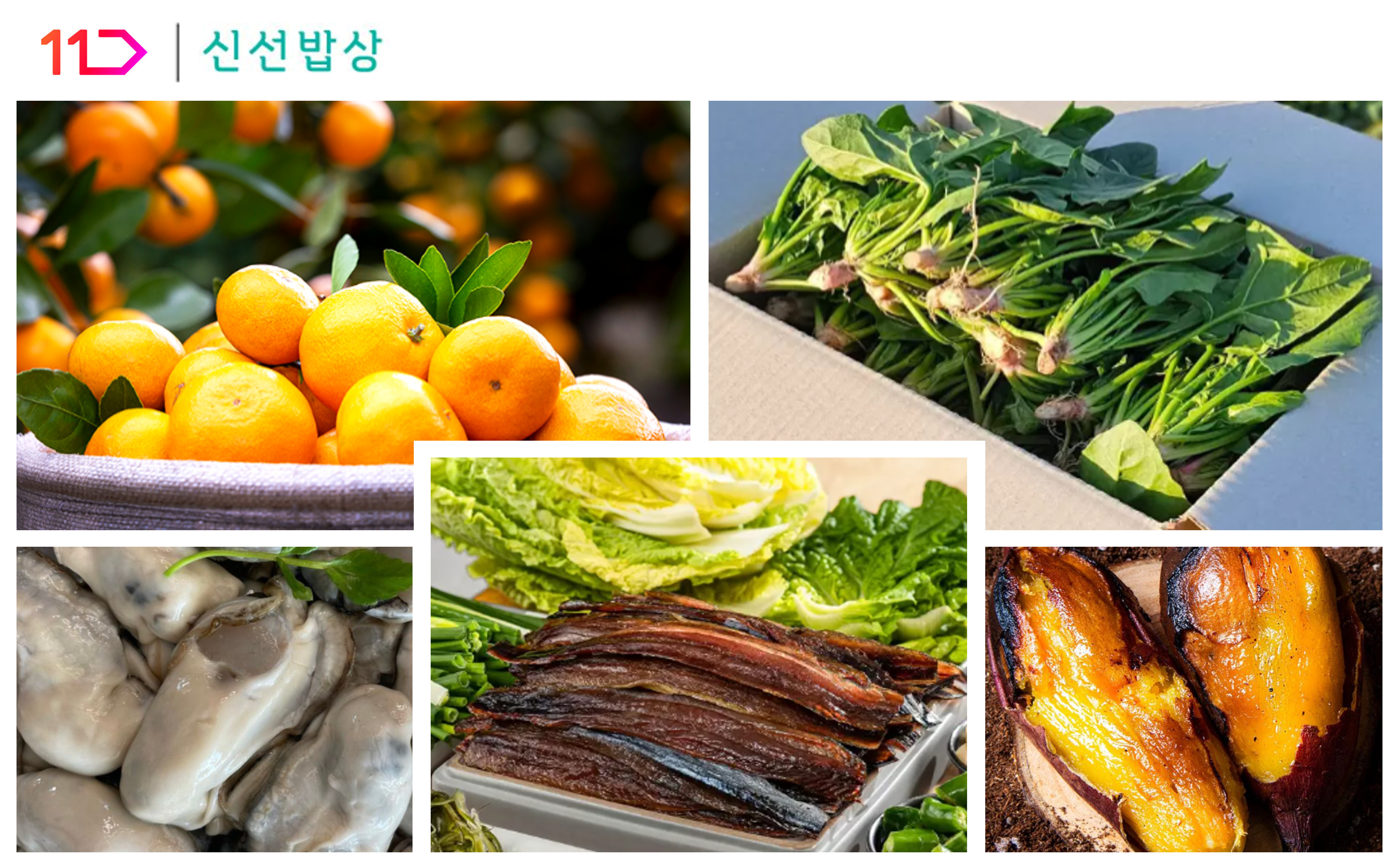 귤 시금치 굴 과메기 고구마 등 11번가 신선밥상에서 판매중인 제철 상품